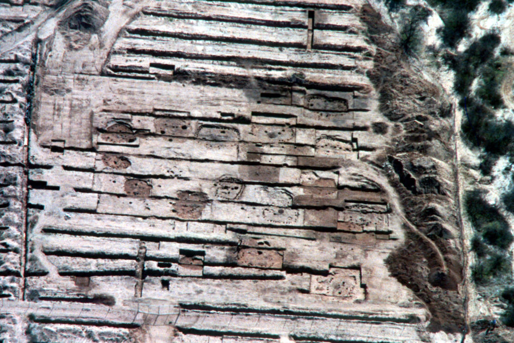 Tanque Verde Wash site overview