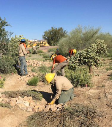 Desert Archaeology cultural resources management CRM DBE woman-owned WOSB