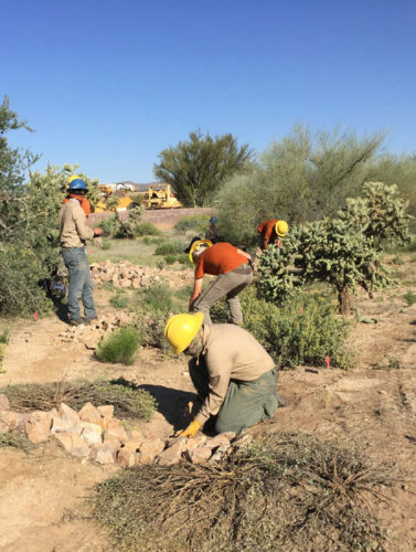 Desert Archaeology cultural resources management CRM DBE woman-owned WOSB