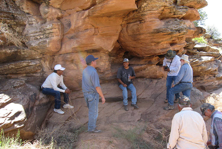 Tribal elders view petroglyphs near Desert Archaeology's project area outside Snowflake, Arizona