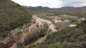 Site of CRM archaeology investigations along Sycamore Creek, Arizona