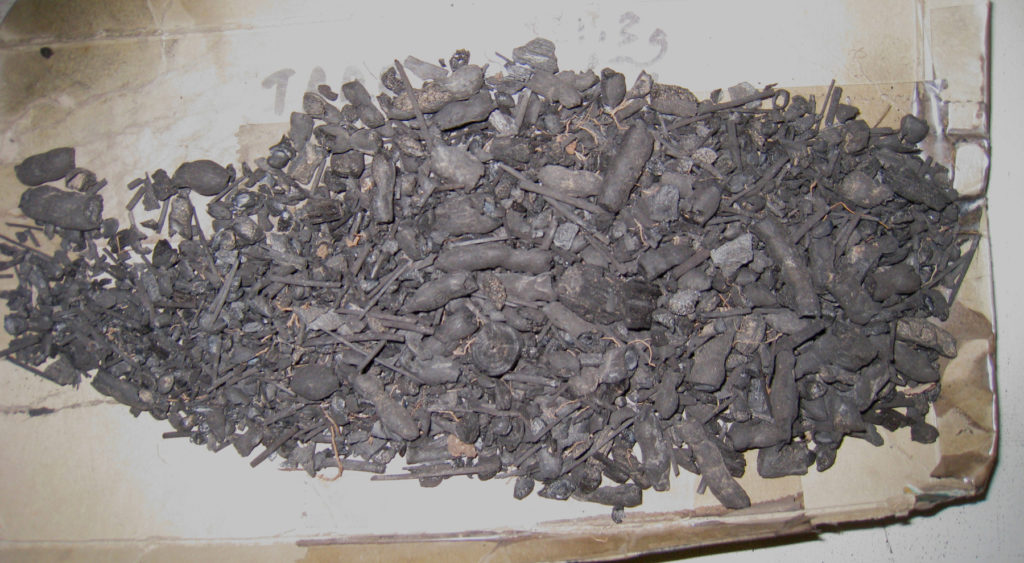 Wood charcoal from a flotation sample collected from a site in Phoenix.