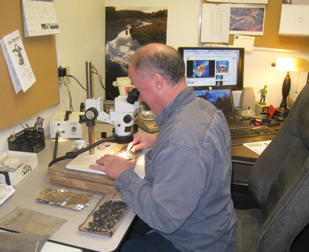 Desert Archaeology paleoethnobotanist Michael Diehl examines flotation samples.