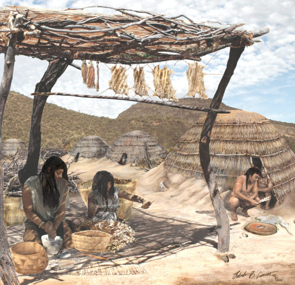 Desert Archaeology illustration by Robert Ciaccio