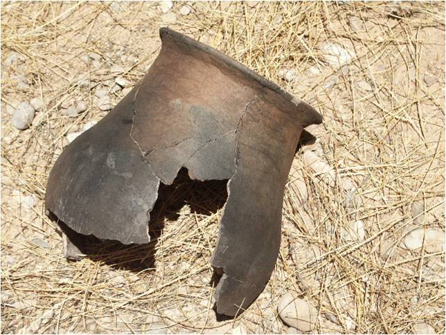 Desert Archaeology tucson history historic