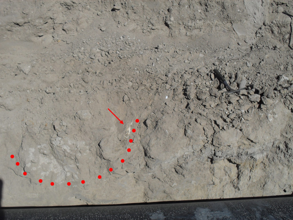 Pit recorded during construction monitoring by Desert Archaeology