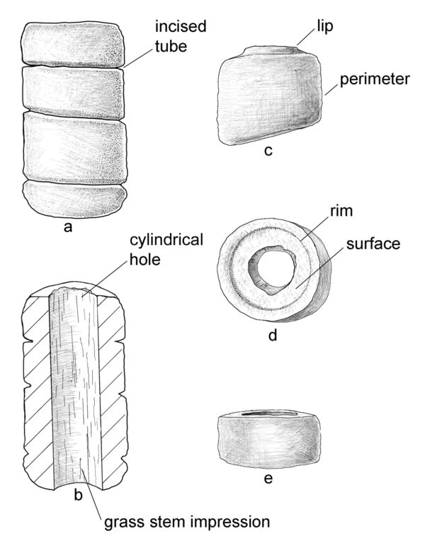 Disk bead studied by Desert Archaeology
