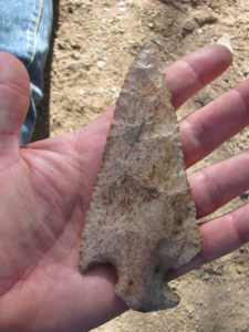 Desert Archaeology Los Pozos artifact array large point