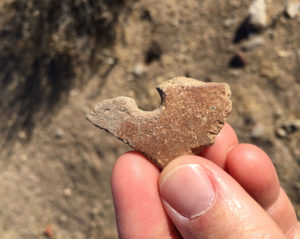 Desert Archaeology Honey Bee Village preserve sherd