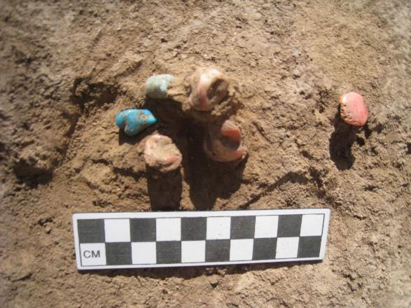 Photo of six shell and stone beads as they were encountered in a pit at Las Capas. A scale at the bottom of the photo shows that the cluster of beads was about 5 centimeters across. Two are turquoise and two are reddish.