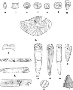 Desert Archaeology shell ornaments