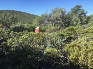 Desert Archaeology contends with difficult terrain on survey.