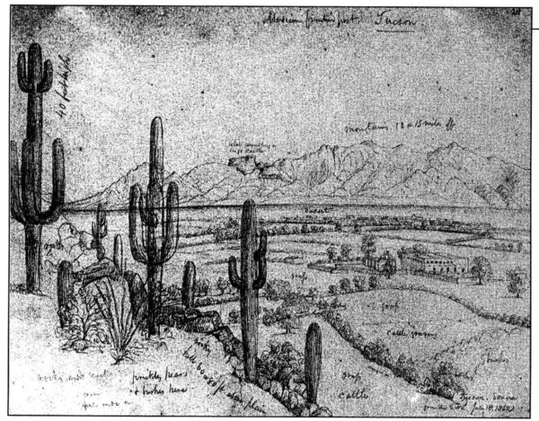 <em>A drawing made in 1852 by John Russell Bartlett, looking northeast from the side of Sentinel Peak. The San Agustín Mission is visible in the center right of the picture.</em>
