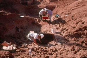 Archaeologists excavate a well shaft in a stepped-back area (photo by Greg Berg).