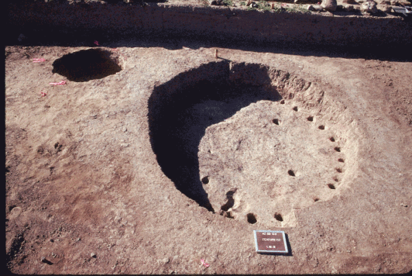 Photo of a Cienega phase pit structure. The pit is an oval, with multiple closely spaced postholes immediately inside its sides. Four larger postholes are arranged in a square in the middle of the pit, and held posts that supported the structure's roof.