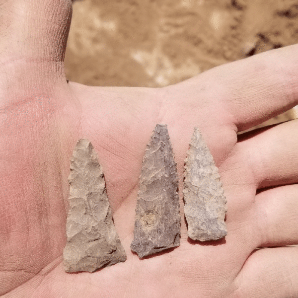 Photo of three Empire points from the San Pedro phase resting on a man's palm.