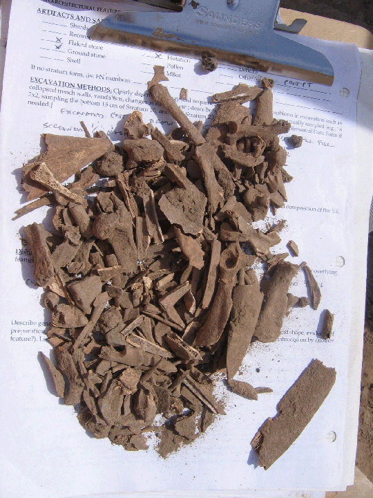 Photo of a pile of rabbit bone fragments from Las Capas resting on a field clipboard. The fragments are broken up and coated with brown dirt. The pile covers most of a standard sheet of printer paper.