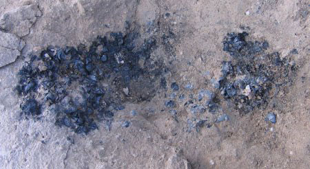 photo of two small piles of burned maize kernels encountered near a Hohokam pithouse at the Tucson Presidio. They are charred black.