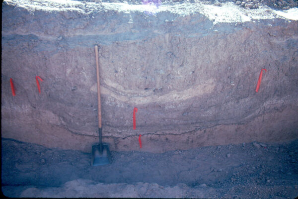 A profile of a large Hohokam canal. The base is stained with manganese, which develops as water seeps through the base of the canal. The visible layers are sediments that were deposited as the canal was used and during floods